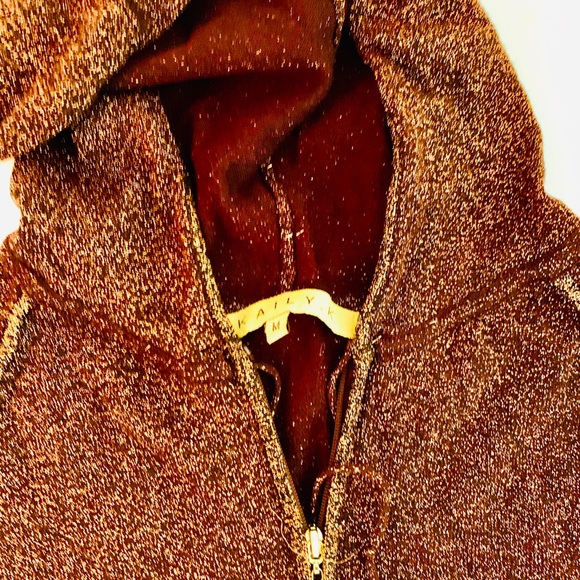 Copper Metallic Hoodie Contour Seaming - Picture 2 of 2